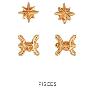 New! Pisces stud earrings